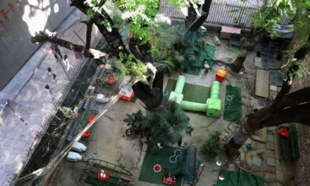 Βαρκελώνη: Ο κήπος με τις γάτες